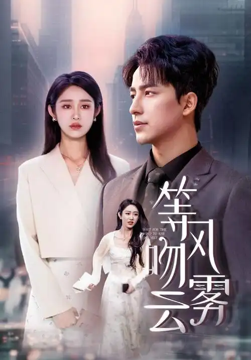 小满人家 电视剧海报